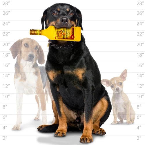 Tuffy Dog Toys - Silly Squeaker Liquor Bottle Jose the Perro