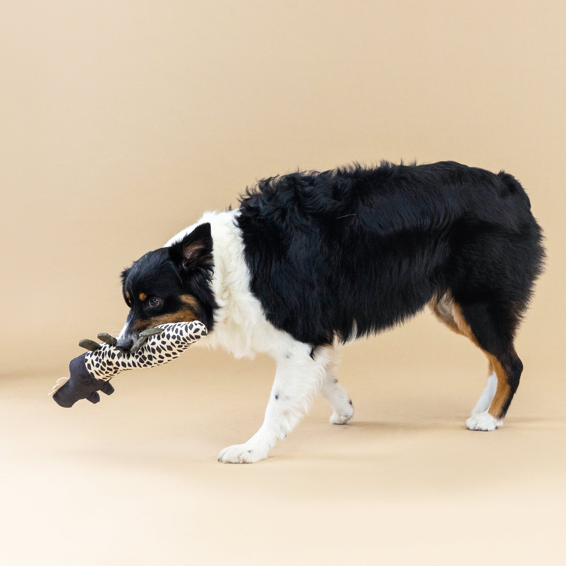 Petshop by Fringe Studio - Dog Toy Croc My World