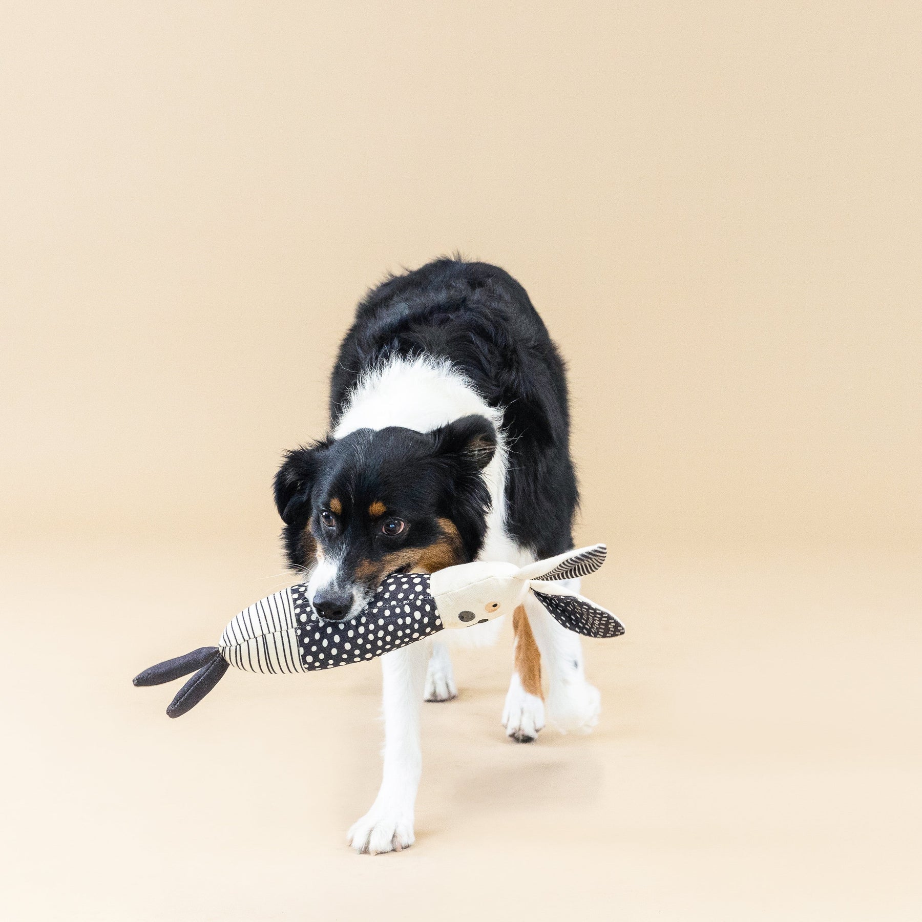 Petshop by Fringe Studio - Dog Toy All Ears