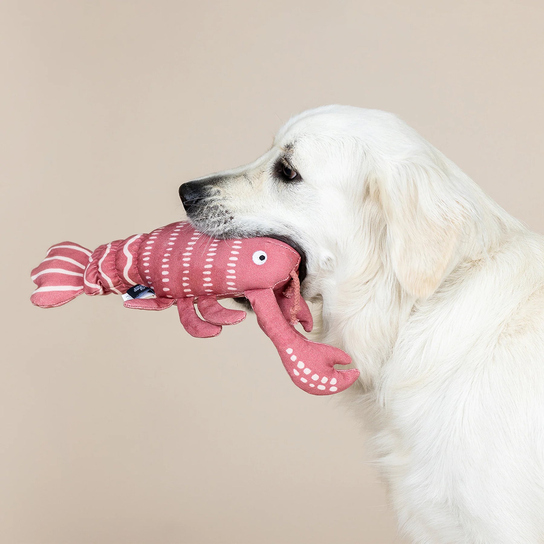 Petshop by Fringe Studio - Dog Toy Claw It A Day