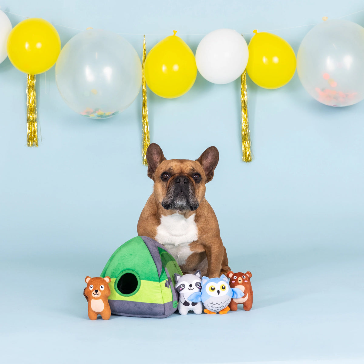Petshop by Fringe Studio - Dog Toy Hide & Seek Happy Campers