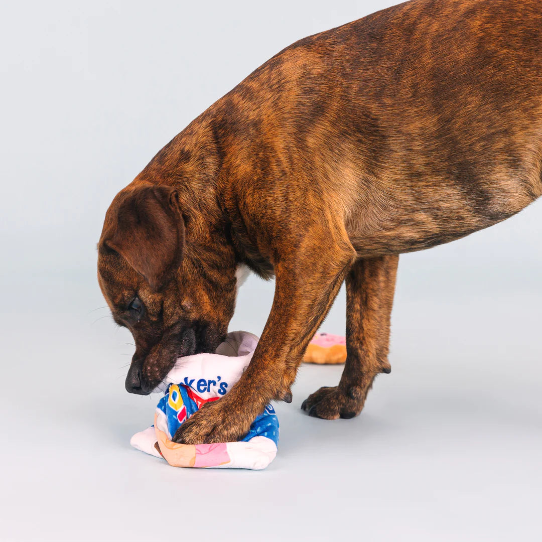Petshop by Fringe Studio - Dog Toy Eat More Hole Foods