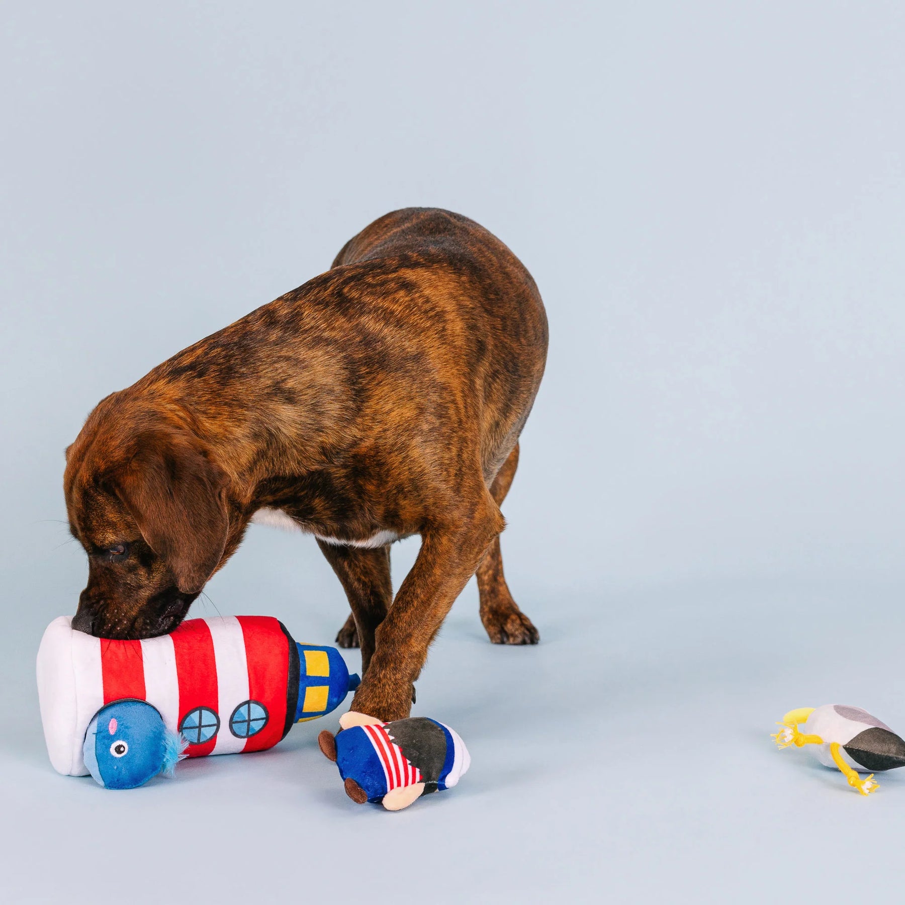 Petshop by Fringe Studio - Dog Toy Ships Ahoy Hide & Seek