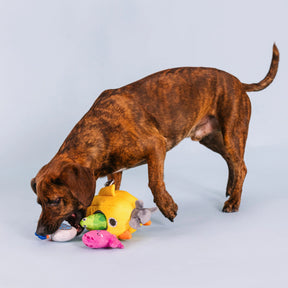 Petshop by Fringe Studio - Dog Toy Into the Deep Hide & Seek