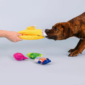 Petshop by Fringe Studio - Dog Toy Into the Deep Hide & Seek