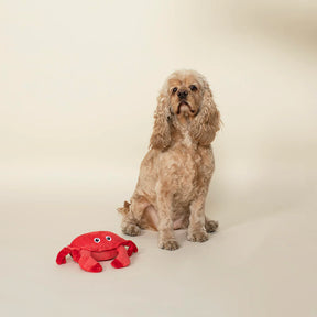 Petshop by Fringe Studio - Dog Toy Plush Crabby