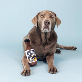 Petshop by Fringe Studio - Dog Toy Saucy Paws Bbq Sauce