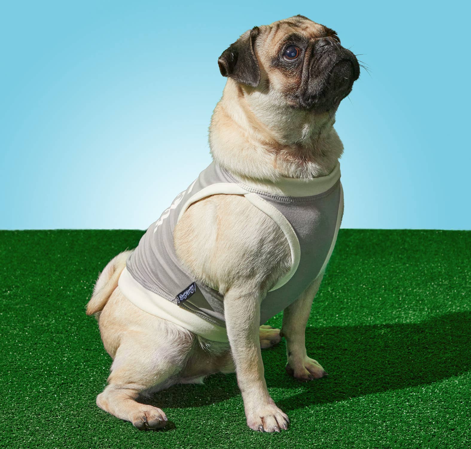 Dog Tank Brass Monkey People	Pleaser Gray