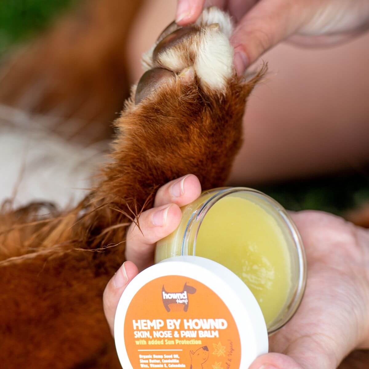Hemp By Hownd Skin, Nose & Paw Balm With Sun Protection