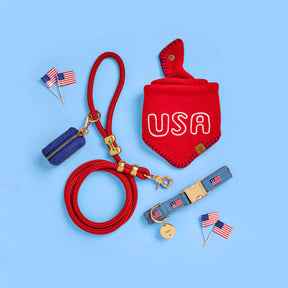 The Foggy Dog - Bandana Dog Red USA Knit