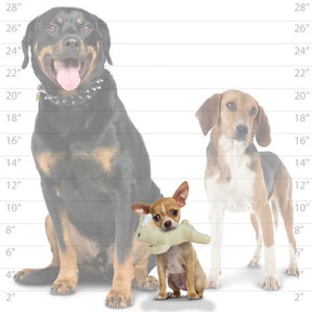 Tuffy Dog Toys - Mighty Jr Nature Rabbit Plush Squeaky Durable Toy