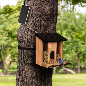 Solar Wooden Bird Feeder