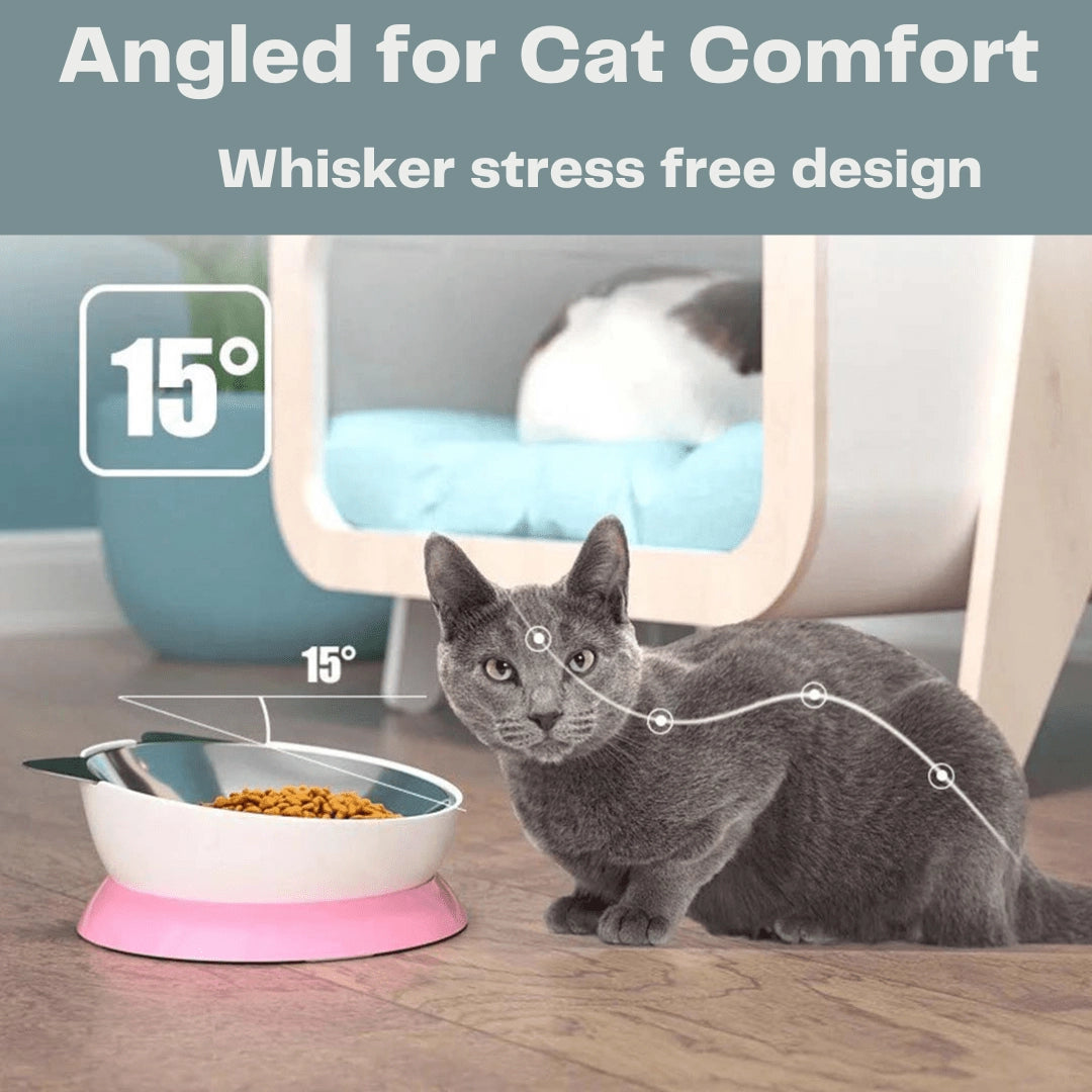 Triple T Studios - Cat Bowl Stainless Elevated Angled