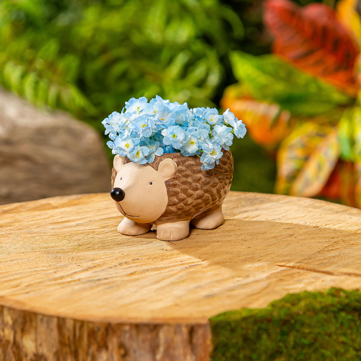 Planter Hedgehog
