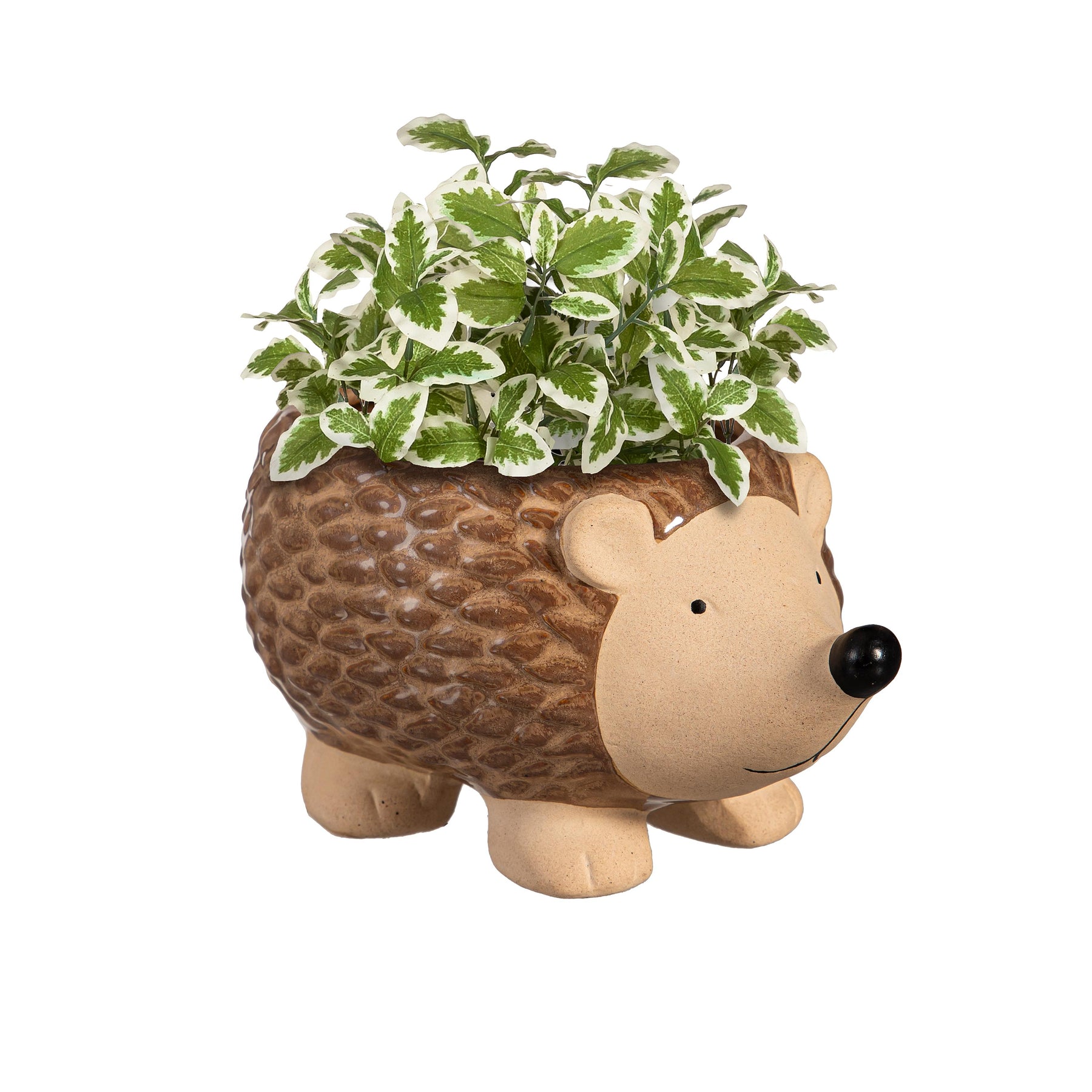 Planter Hedgehog