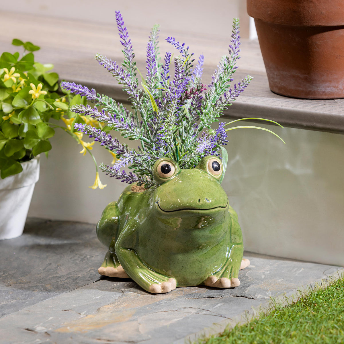 Planter Frog