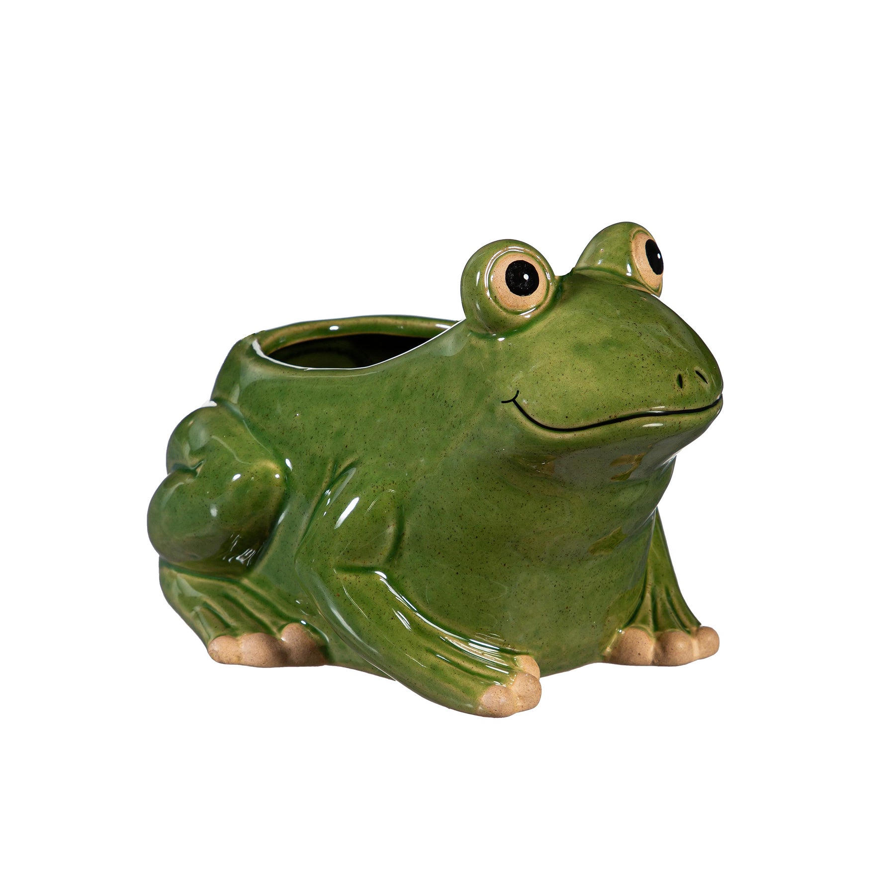 Planter Frog