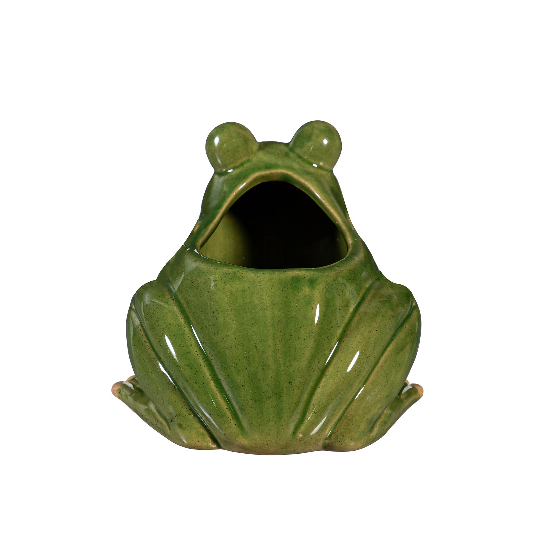 Planter Frog