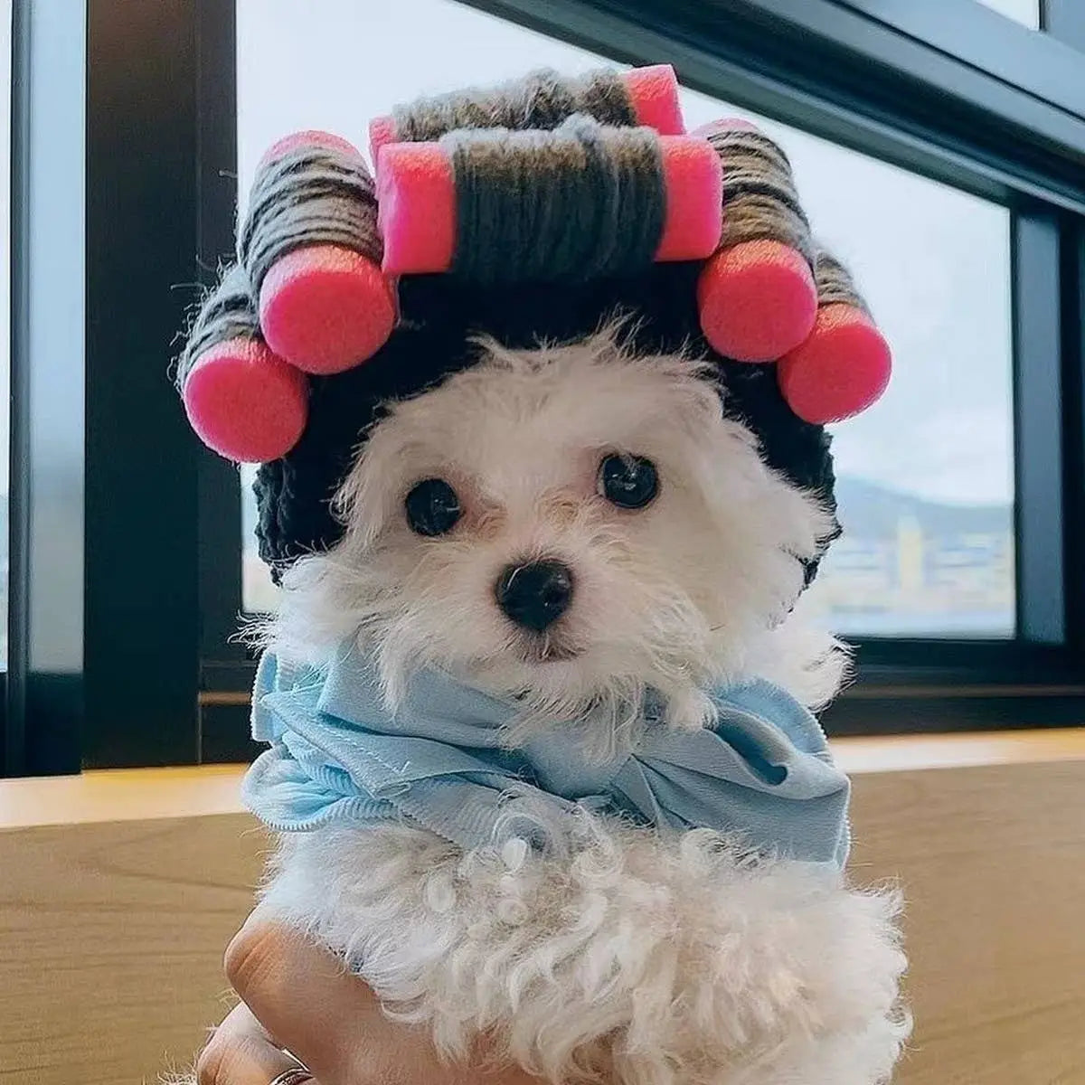 PawPaw Wholesale - Halloween Costume Wig with Pink Rollers
