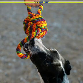 Petsport USA - Kaleidoscope Rope Double