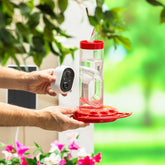 Solar Hummingbird Bird Feeder