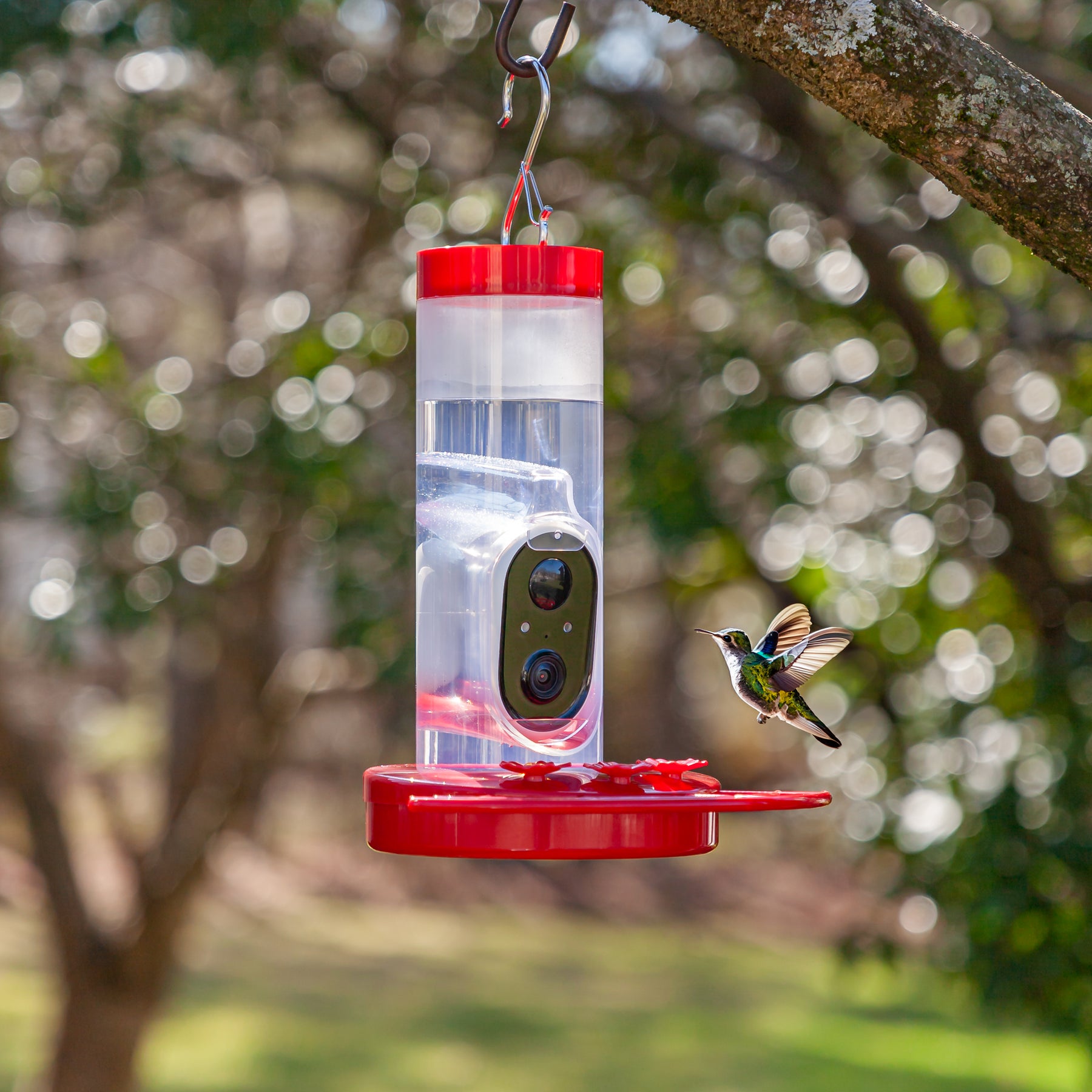 Solar Hummingbird Bird Feeder