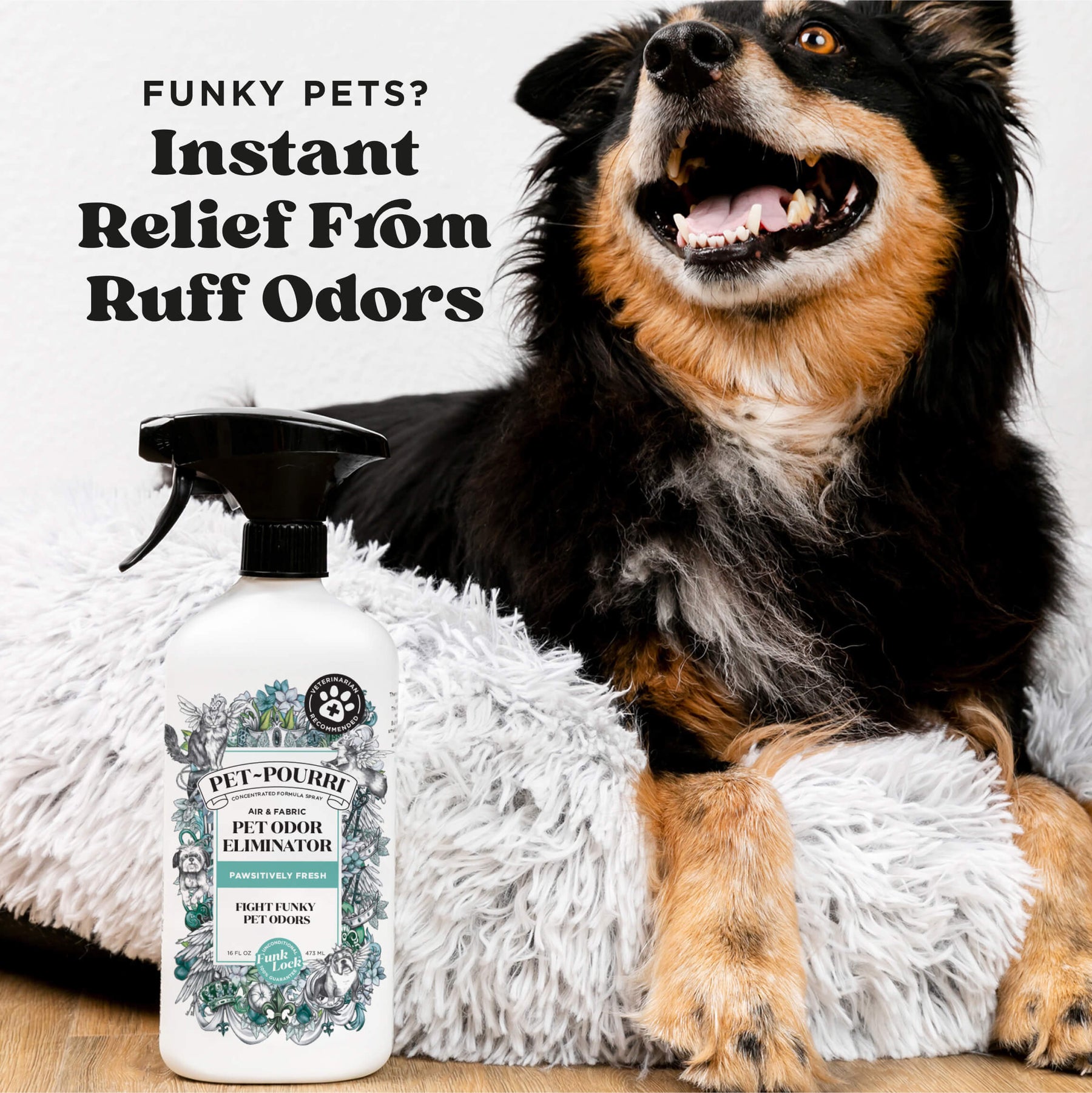 Pet-Pourri Pawsitively Fresh Air + Fabric Odor Refresher