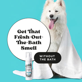 Pet-Pourri Pawsitively Fresh Rinse-Free Deodorizing Shampoo