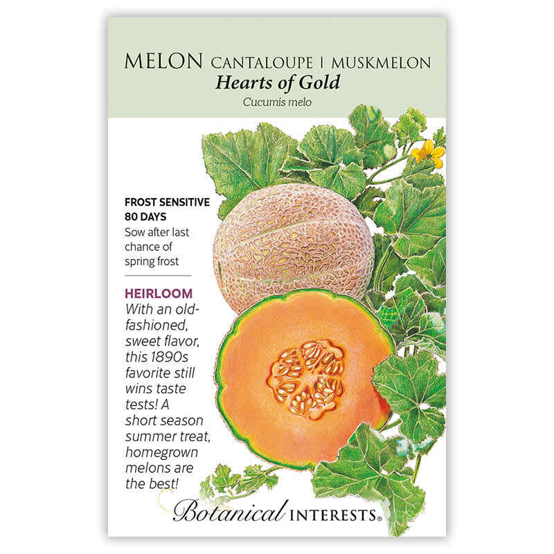 Botanical Interests, Inc. - Melon Hearts of Gold Cantaloupe Seeds