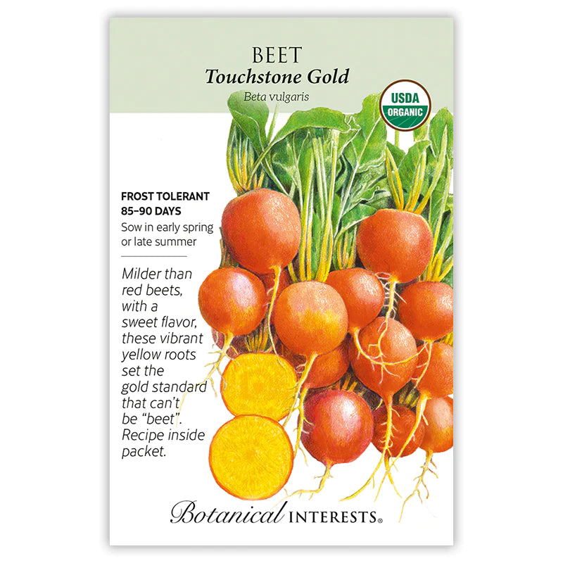 Beet (Gold) Touchstone Gold Organic Seeds