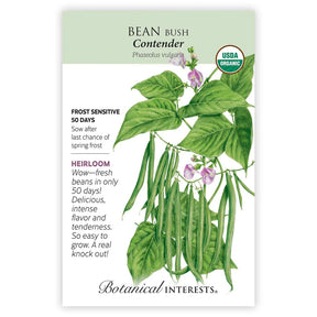 Botanical Interests, Inc. - Bean Bush (Green) Contender Seeds