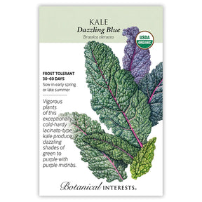 Kale Dazzling Blue Organic