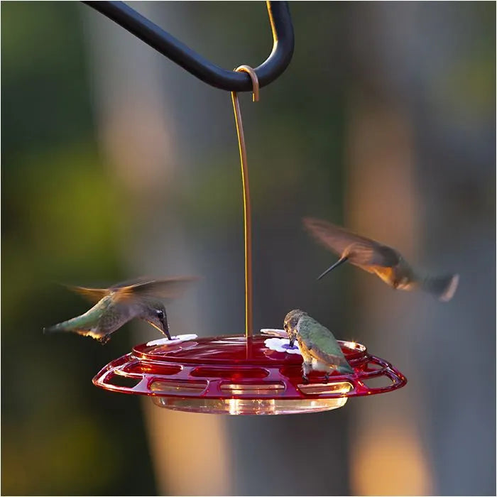 More Birds - 3 in 1 Hummingbird Feeder
