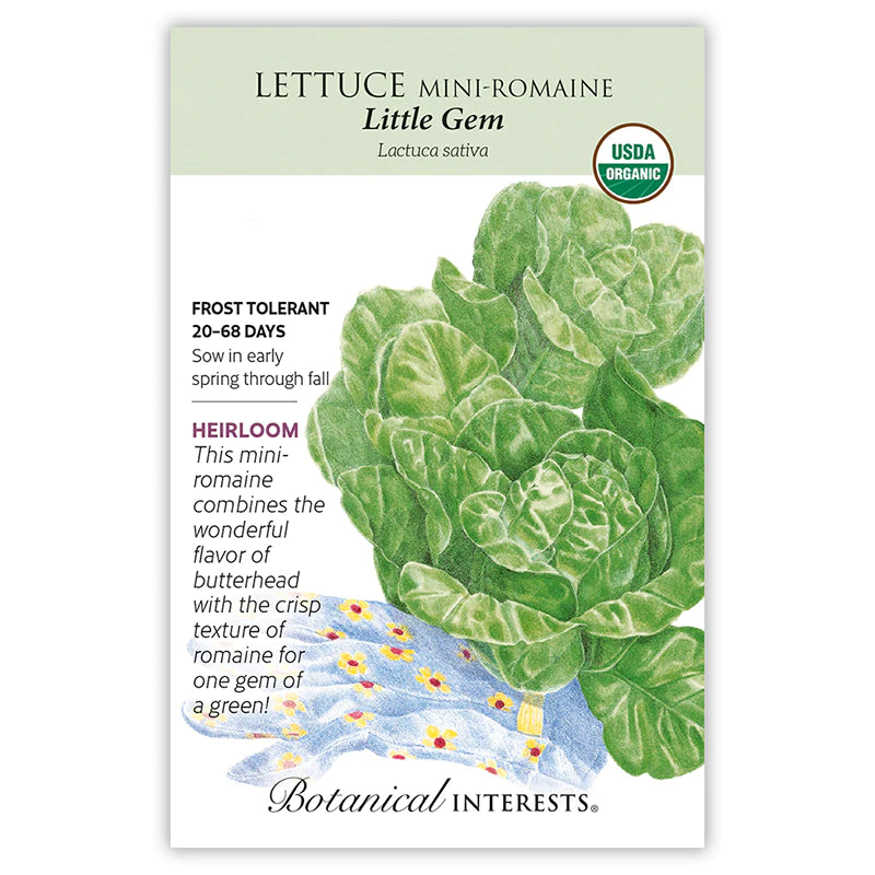 Lettuce Romaine Little Gem Organic