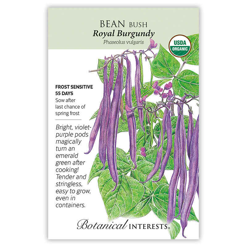 Botanical Interests, Inc. - Royal Burgundy Bush Bean Seeds
