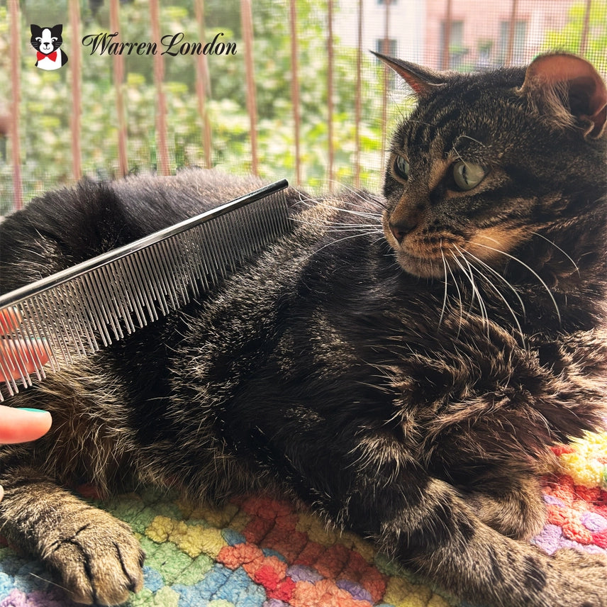 Carding Cat Comb