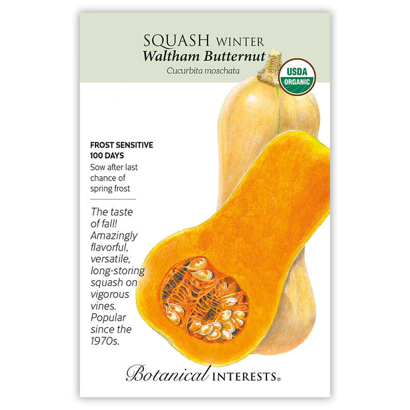 Botanical Interests, Inc. - Waltham Butternut Winter Squash Seeds