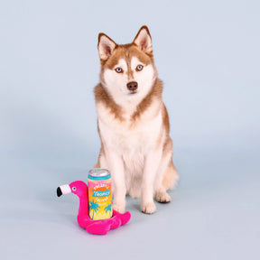 Petshop by Fringe Studio - Dog Toy Pool Toys Sun Rays (2 Piece)