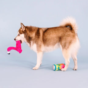 Petshop by Fringe Studio - Dog Toy Pool Toys Sun Rays (2 Piece)