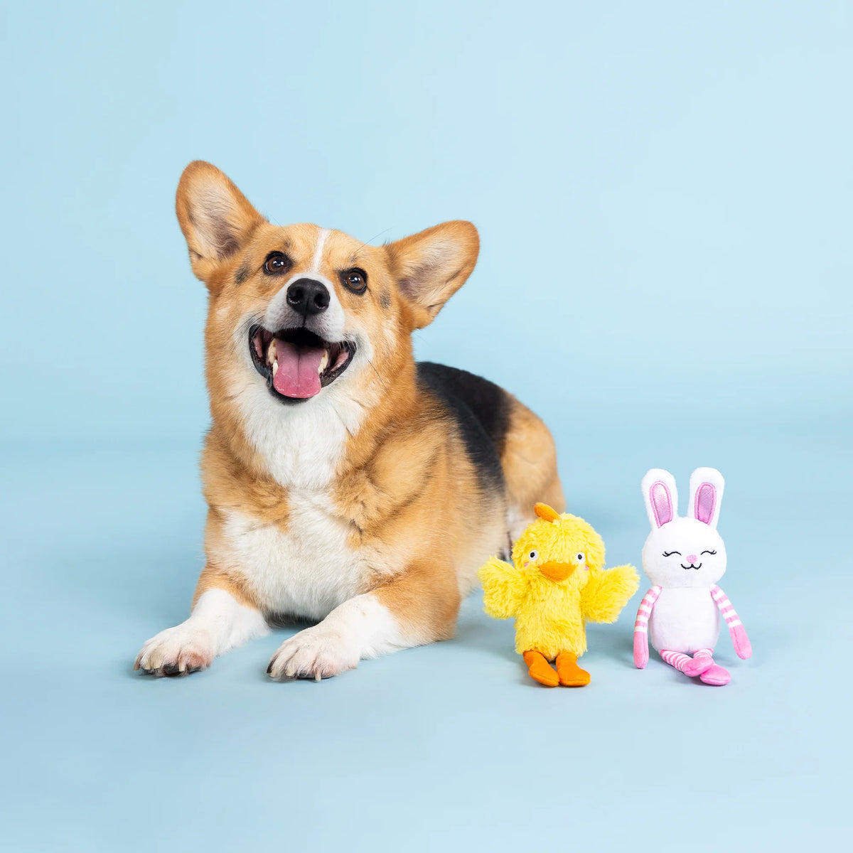 Petshop by Fringe Studio - Dog Toy Hoppy Go Clucky (2 Piece Toy)