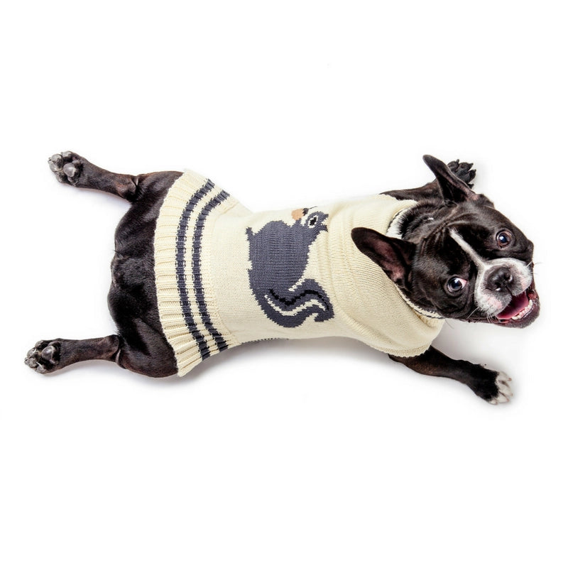 Fab Dog - Squirrel Dog Sweater