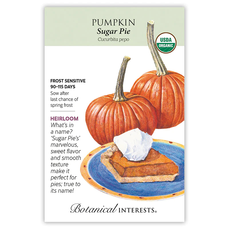 Pumpkin Sugar Pie Organic Seeds