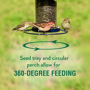 Perky Pet Panorama Seed Feeder Sure-Lock Cap