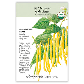Bean Bush (Yellow) Gold Rush