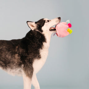 Petshop by Fringe Studio - Dog Toy If the Crown Fits - Southern Agriculture 