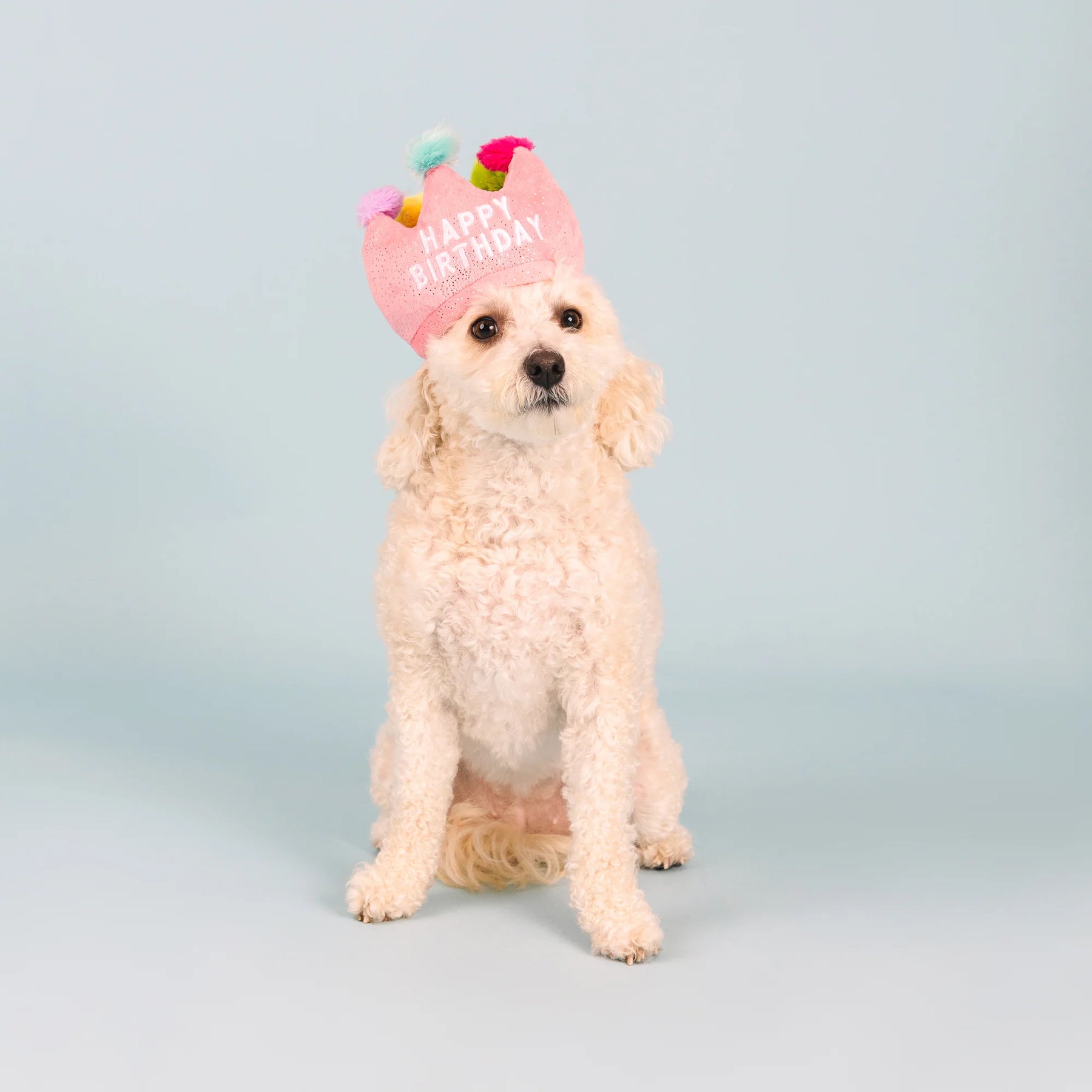 Petshop by Fringe Studio - Dog Toy If the Crown Fits - Southern Agriculture 