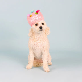 Petshop by Fringe Studio - Dog Toy If the Crown Fits - Southern Agriculture 