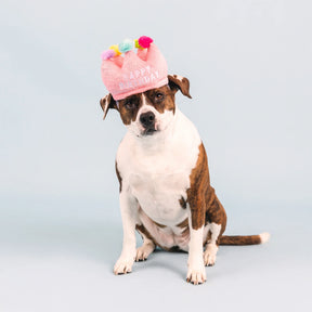 Petshop by Fringe Studio - Dog Toy If the Crown Fits - Southern Agriculture 