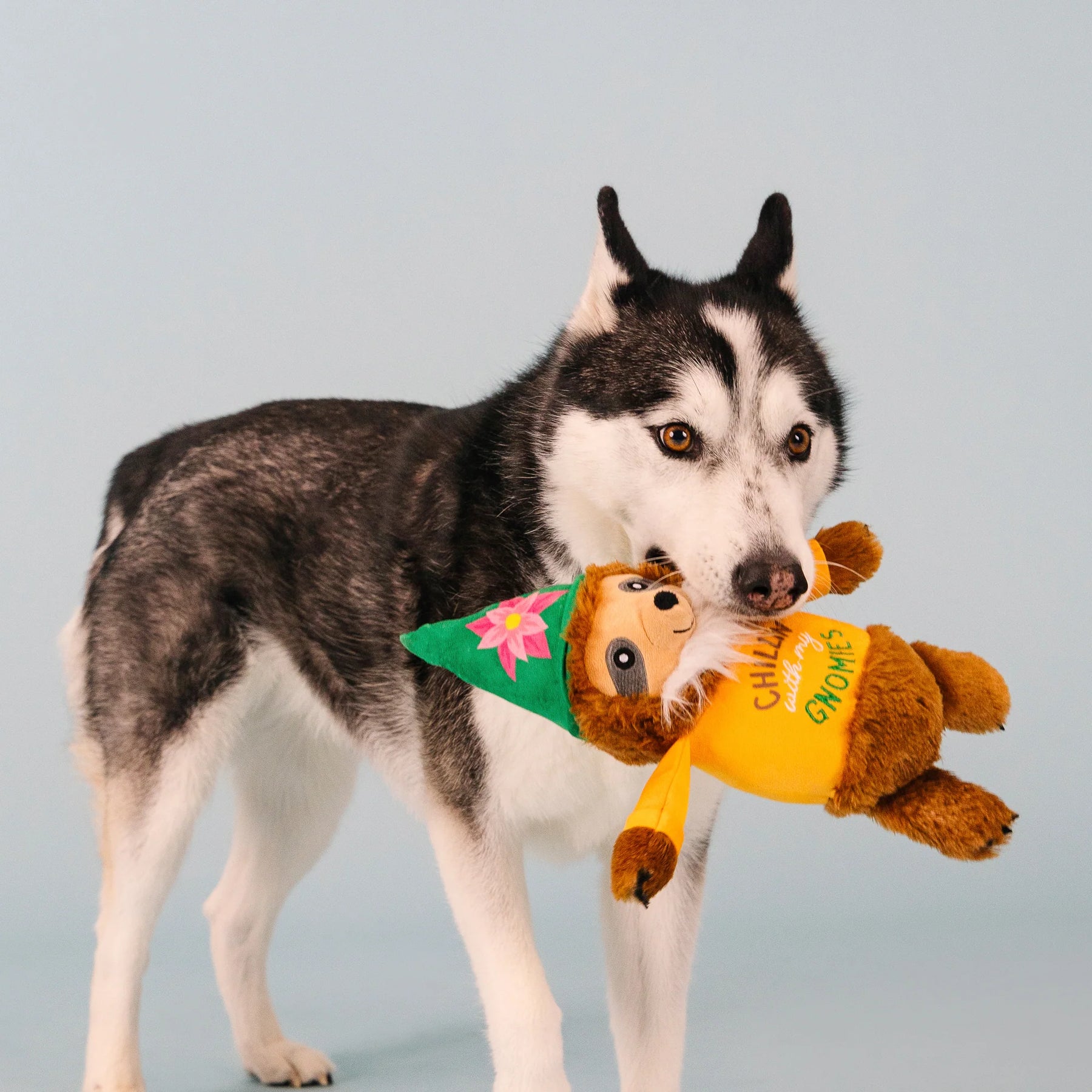 Petshop by Fringe Studio - Dog Toy CHILLIN WITH MY GNOMIES