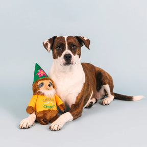 Petshop by Fringe Studio - Dog Toy CHILLIN WITH MY GNOMIES